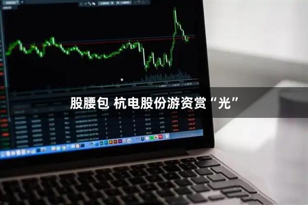 股腰包 杭电股份游资赏“光”