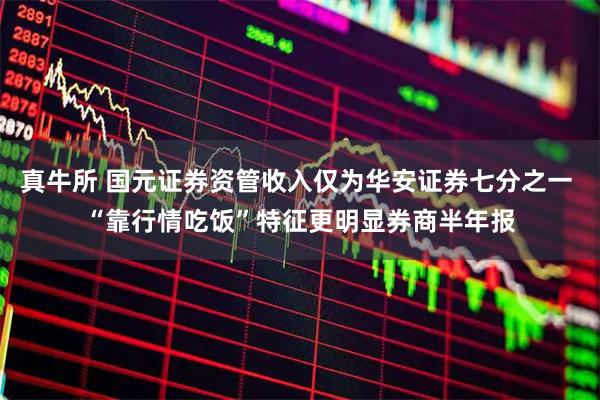 真牛所 国元证券资管收入仅为华安证券七分之一 “靠行情吃饭”特征更明显券商半年报