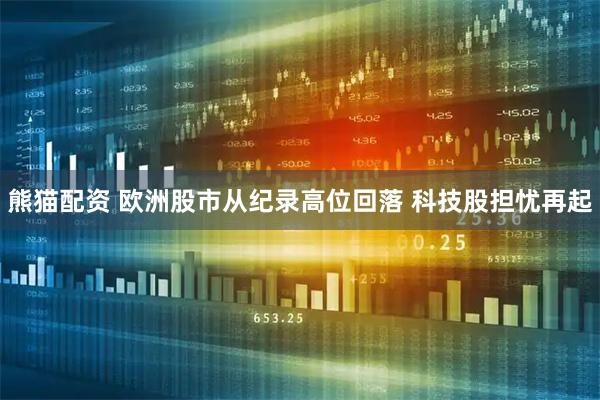熊猫配资 欧洲股市从纪录高位回落 科技股担忧再起